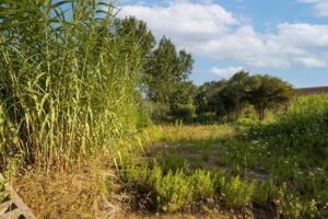 Terreno en venta en Denia, Carrer Riu de La Sénia, 51, 03779 photo 0