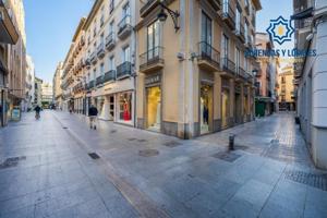 Edificio en venta en Granada, Centro photo 0