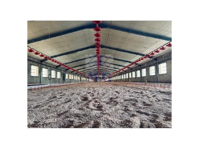 Chalet en venta en Albacete photo 0