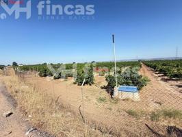 Terreno en venta en Cantillana, Andalucia photo 0