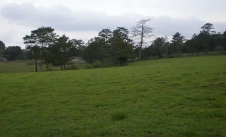 Terreno en venta en Biar, 03410 photo 0