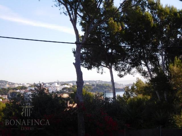 Terreno en venta en Calvia photo 0