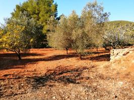 Terreno en venta en Sant Josep de sa Talaia, Ctra. a San jose photo 0