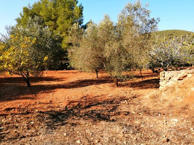 Terreno en venta en Sant Josep de sa Talaia, Ctra. a San jose photo 0