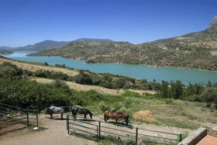 Casa con terreno en venta en Ronda photo 0