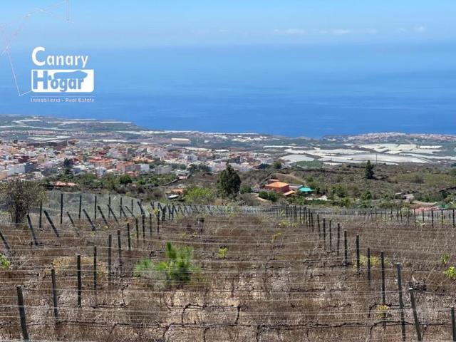 Casa con terreno en venta en Guía de Isora, Guía de Isora photo 0