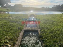 Chalet en venta en Deleitosa photo 0