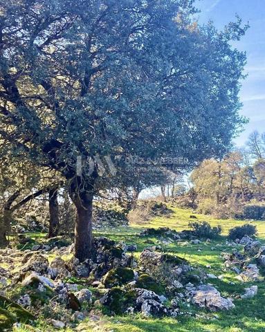 Terreno en venta en Alfarnate photo 0