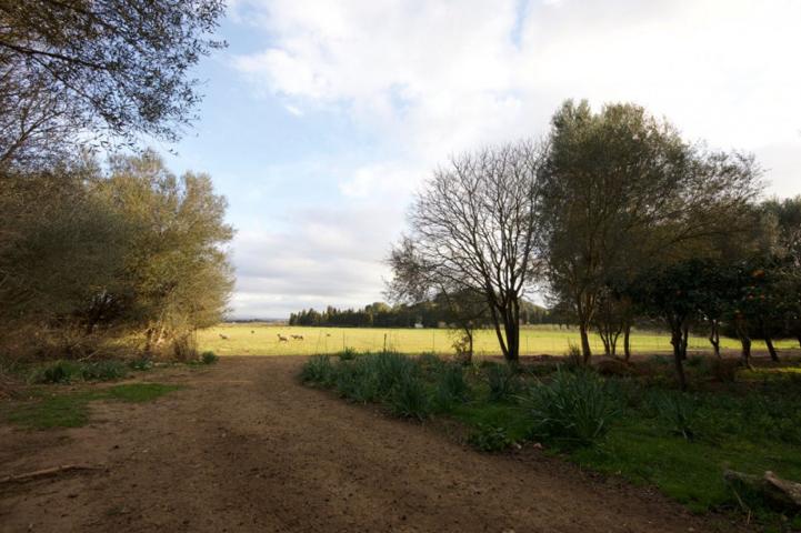 Chalet en venta en Llucmajor, Llucmajor (Campo) photo 0