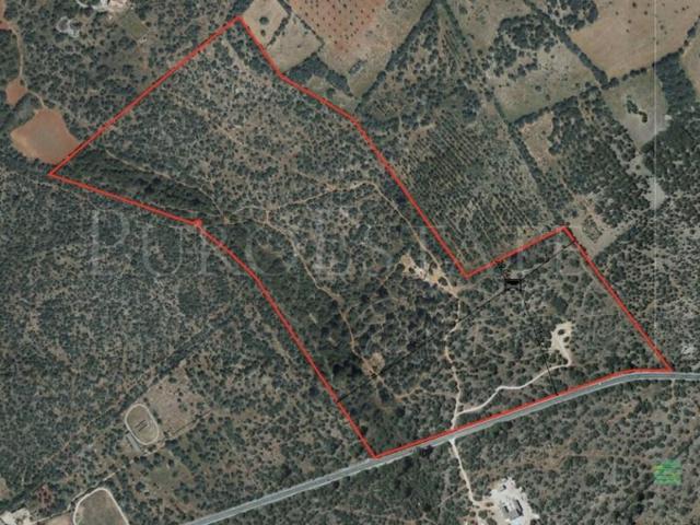 Terreno en venta en Llucmajor photo 0