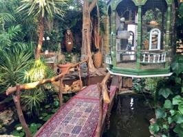 Casa en venta en San Juan de los Terreros, Centro photo 0