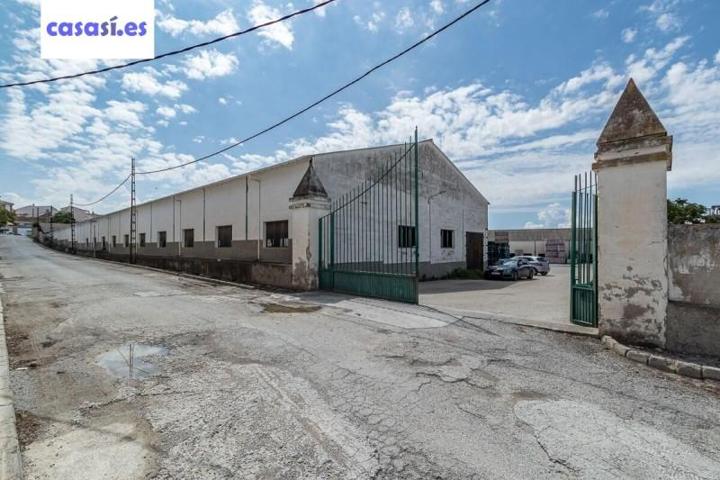 Nave industrial en venta en Illora, Illora photo 0