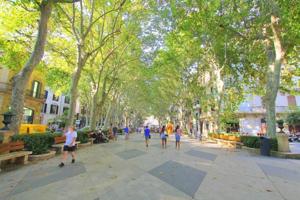 Piso en venta en Mallorca, La Lonja-Borne photo 0