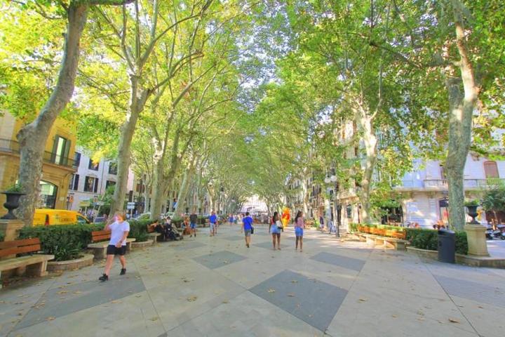 Piso en venta en Mallorca, La Lonja-Borne photo 0