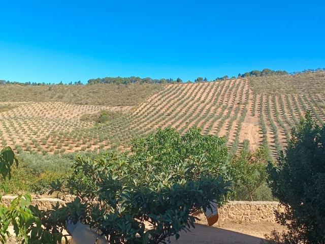 Chalet en venta en Archidona photo 0