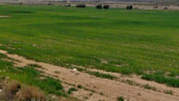 Terreno en venta en Lorca, La Paca photo 0