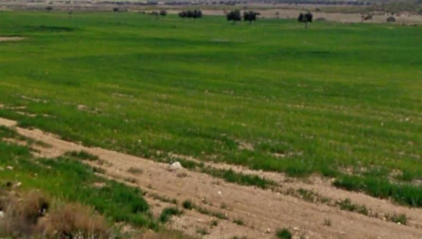 Terreno en venta en Lorca, La Paca photo 0