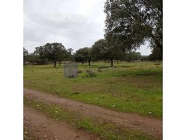 Chalet en venta en Guadalupe photo 0