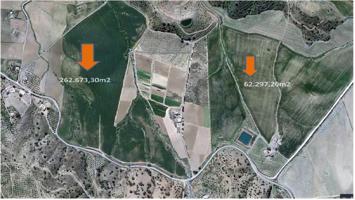 Terreno en venta en Coín, La jara photo 0