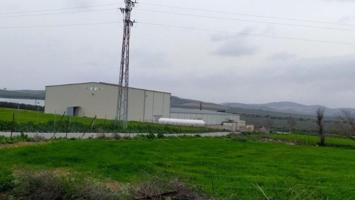Nave industrial en venta en Aguadulce, PARAJE DEHESA DE GILENA, 2, 41550 photo 0