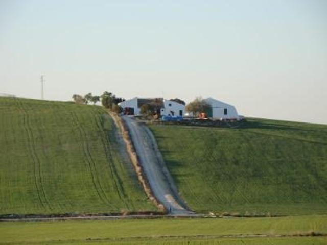 Chalet en venta en Jerez de la Frontera, Oeste photo 0