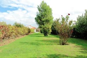 Casa en venta en Fuente el Saz de Jarama photo 0