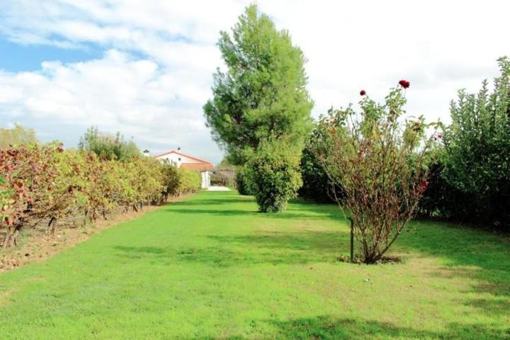Casa en venta en Fuente el Saz de Jarama photo 0