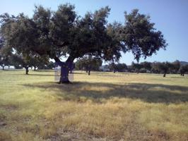 Chalet en venta en Monroy photo 0