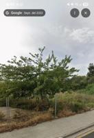 Terreno en venta en Alcúdia, Playa de Muro photo 0