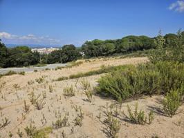 Terreno en venta en Palafolls, Mas reixach photo 0