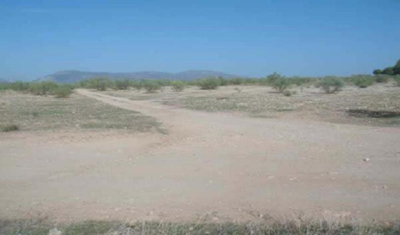 Terreno en venta en Atarfe, Atarfe photo 0