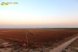 Terreno en venta en Linyola, Linyola photo 0