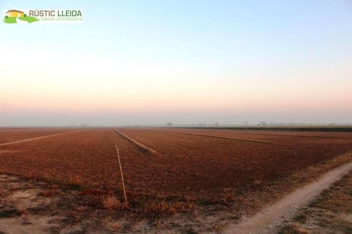 Terreno en venta en Linyola, Linyola photo 0