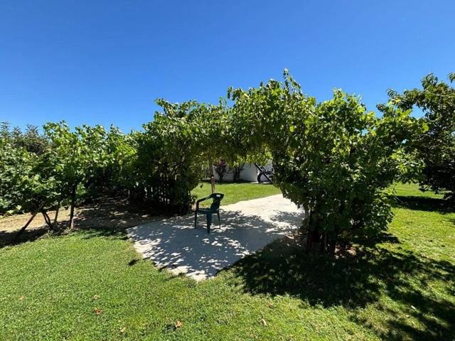 Chalet en venta en Fuente el Saz de Jarama, Fuente el Saz de Jarama photo 0