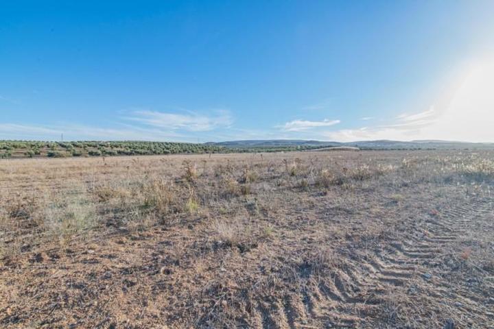 Terreno en venta en Escúzar, CENTRO photo 0