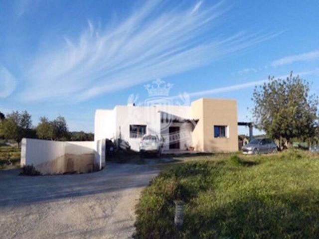 Casas de pueblo en venta en Santa Eulalia Del Rio, Santa Gertrudis photo 0