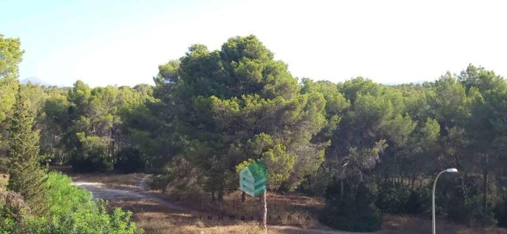 Casa con terreno en venta en Calvia, Costa de la Calma photo 0