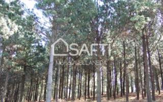 Terreno en venta en Bembibre photo 0