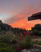 Chalet en venta en Vejer de la Frontera, Carrertera de cadiz- málaga photo 0