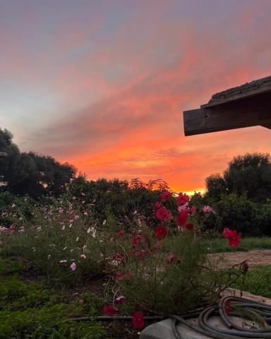 Chalet en venta en Vejer de la Frontera, Carrertera de cadiz- málaga photo 0