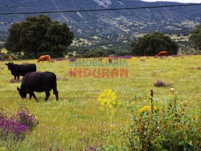 Chalet en venta en Alía photo 0