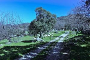 Casa con terreno en venta en Robledo de Chavela, Robledo de Chavela photo 0