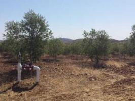 Chalet en venta en Huelva, El Matadero photo 0