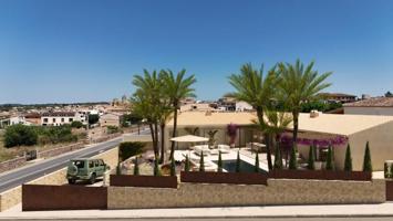 Chalet en venta en Sineu, Área de Sineu photo 0