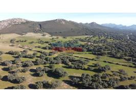 Chalet en venta en Deleitosa photo 0