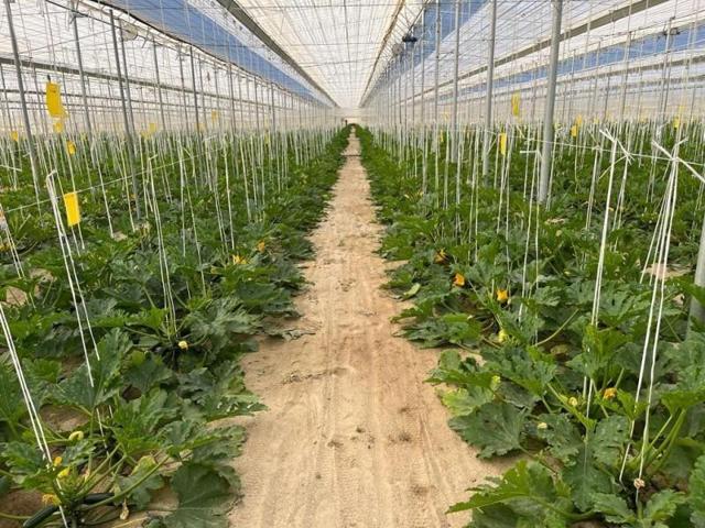 Terreno en venta en Níjar, BARRANQUETE photo 0