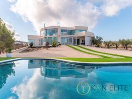 Chalet en venta en Petrer photo 0