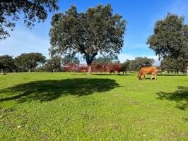 Chalet en venta en Casatejada photo 0