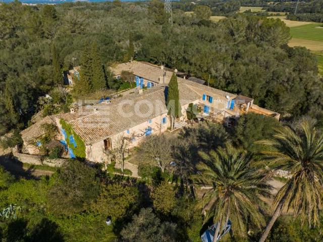 Edificio en venta en Llubí photo 0