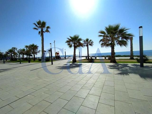 Local comercial en venta en Torrevieja, Calle la Sal, 03182 photo 0